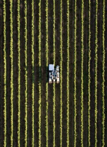 Aerial view of a tractor working in neat rows of a field, showcasing modern agriculture.